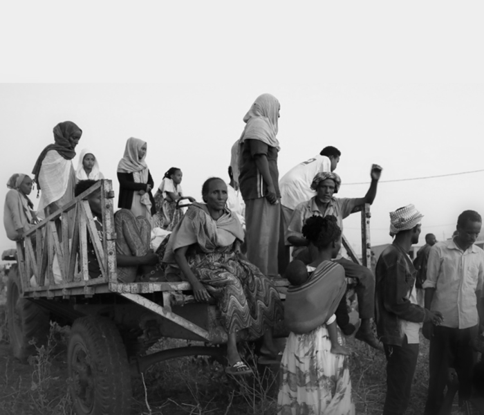 Instagram-Posts-NULL